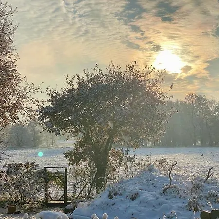 Haus Des Faultiers * Stade